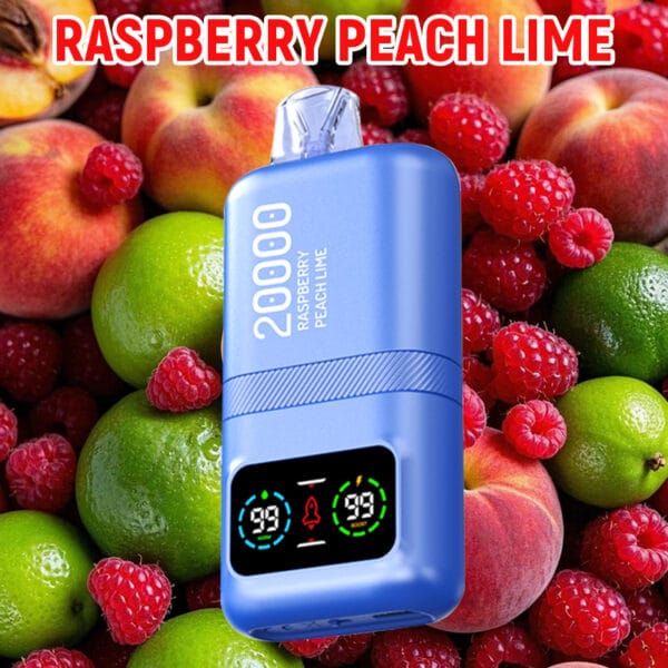 DTL Vape Disposable Vape Puffs Vapmind Vape Shop Lung Vapor Vape Big Smoke Electronic Cigarette Vape Pens Portable Vaporizers Vape Shops NRaspberry Peach Lime