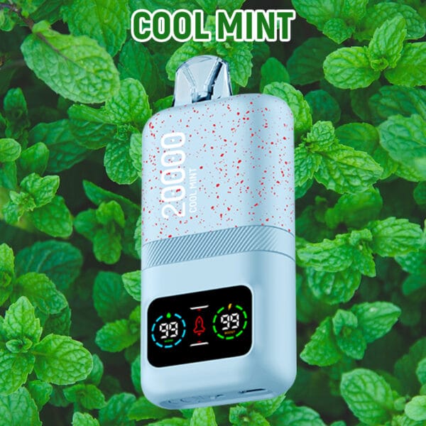 DTL Vape Disposable Vape Puffs Vapmind Vape Shop Lung Vapor Vape Big Smoke Electronic Cigarette Vape Pens Portable Vaporizers Vape Shops Near Me Cool Mint