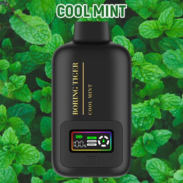 Disposable Electronic Cigarette Vapmind Vape Shop Vape Shops Near Me Vape Stores Best Disposable E-Cigarette Lung Vapor Vape Cool Mint