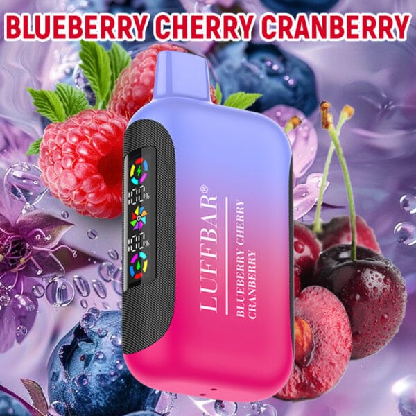 Dual Flavors Disposable Vape 20000 Puffs Vapmind Vape shop vape stores Blueberry Cherry CranBerry