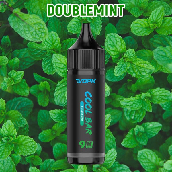 Electronic Cigarettes Shop Disposable PUFFS Vapmind Vape Shops vape wholesale Best Vape online shop Vape Mods for Beginners Vape Journey Flavors Double Mint